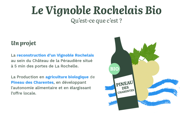 VignobleRochelais01