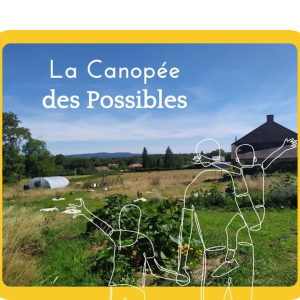 VIGNETTE LA CANOPEE DES POSSIBLES